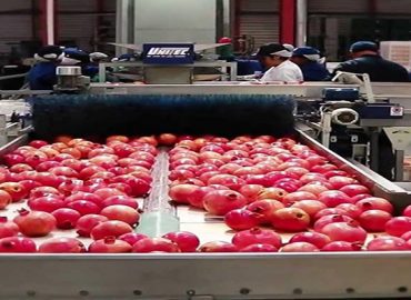 رب انار صادراتی – با بریکس 65