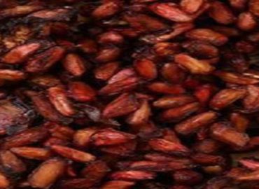 بذور الرمان الإيرانية المجففة للتصدير