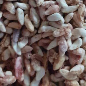 Dry Pomegranate Seeds – "Iranian" - Export